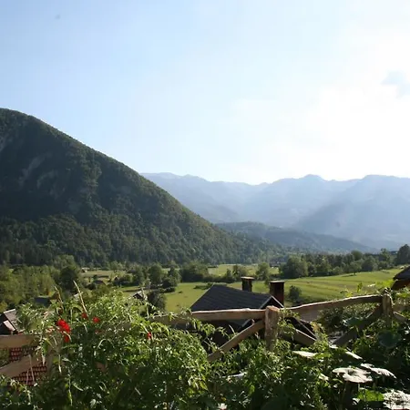House Jager * Bohinj