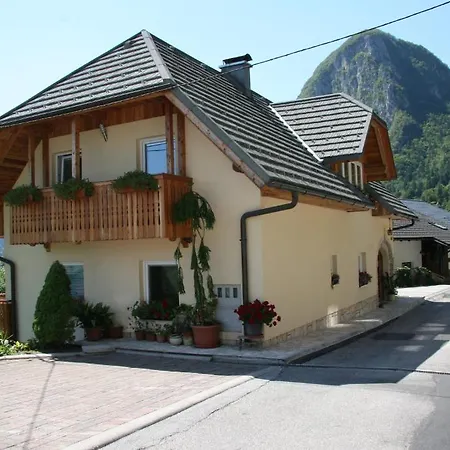 House Jager Apartment Bohinj