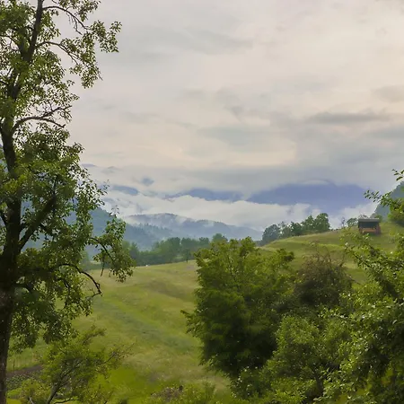 House Jager 보히니