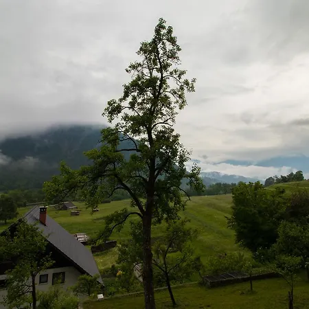 House Jager Bohinj
