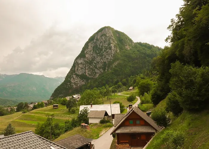 Apartament House Jager *